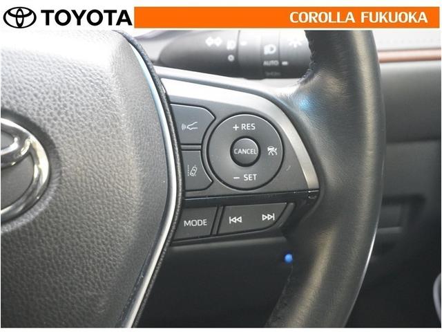 ハリアー Ｚ　衝突被害軽減システム　メモリーナビ　フルセグ　ＥＴＣ　バックカメラ　ドラレコ　キーレス　スマートキー　盗難防止装置（19枚目）