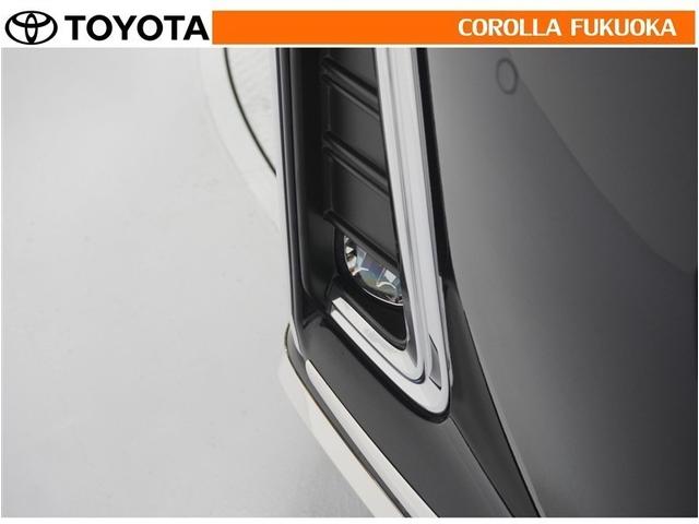 アルファード ２．５Ｓ　衝突被害軽減システム　両側電動スライド　メモリーナビ　フルセグ　ＥＴＣ　バックカメラ　後席モニター　ＣＤ　ＤＶＤ再生　キーレス　スマートキー　盗難防止装置（28枚目）