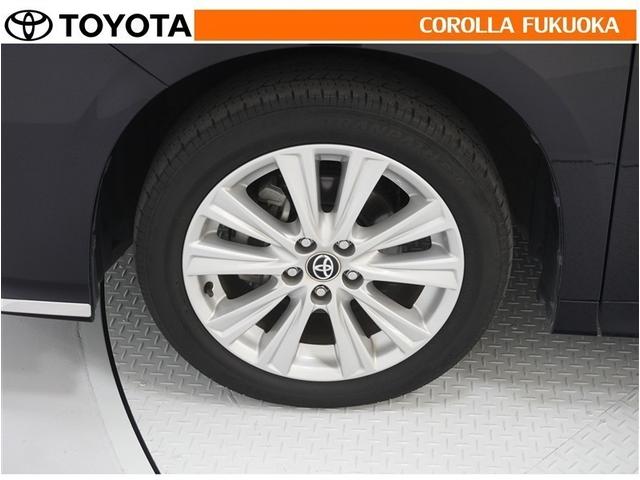 アルファード ２．５Ｓ　衝突被害軽減システム　両側電動スライド　メモリーナビ　フルセグ　ＥＴＣ　バックカメラ　後席モニター　ＣＤ　ＤＶＤ再生　キーレス　スマートキー　盗難防止装置（29枚目）