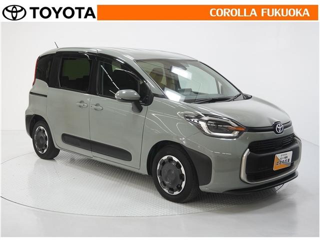 ������������S�I�����̓J���[�������T�[�r�X�F�؍H��ɂ��C�����������B