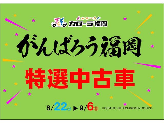 WSレザーパッケージ 予防安全装置付き メモリーナビ ETC(2枚目)
