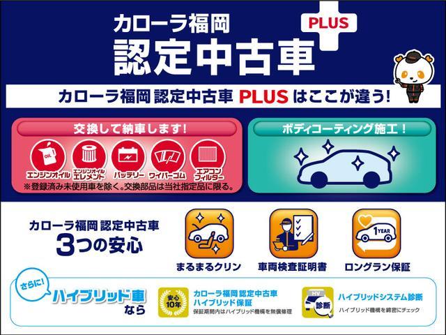 WSレザーパッケージ 予防安全装置付き メモリーナビ ETC(3枚目)