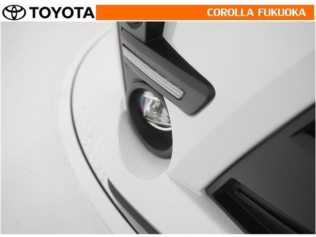 ライズ Ｚ　衝突被害軽減システム　フルセグ　ＥＴＣ　バックカメラ　キーレス　スマートキー　盗難防止装置（28枚目）