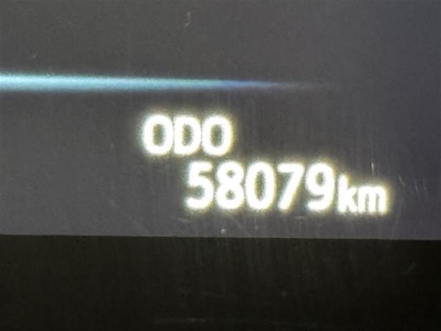 �啪�g���y�b�g�y�q�{���勴�X�ł��B���Ђ̍݌ɂ��������������L��������܂��B