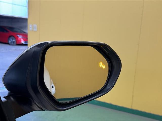 Ｃ－ＨＲ Ｇ　フルセグ　メモリーナビ　ミュージックプレイヤー接続可　バックカメラ　衝突被害軽減システム　ＥＴＣ　ドラレコ　ＬＥＤヘッドランプ　ワンオーナー（19枚目）