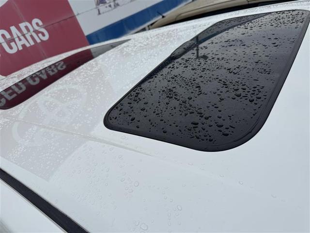 �啪�g���y�b�g�y�q�{���勴�X�ł��B���Ђ̍݌ɂ��������������L��������܂��B