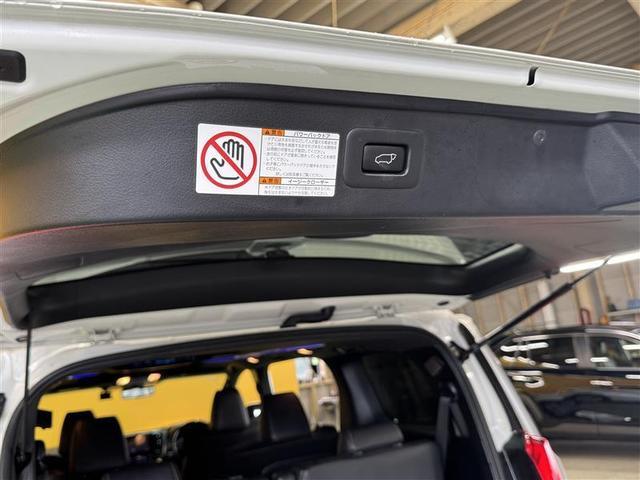 �啪�g���y�b�g�y�q�{���勴�X�ł��B���Ђ̍݌ɂ��������������L��������܂��B