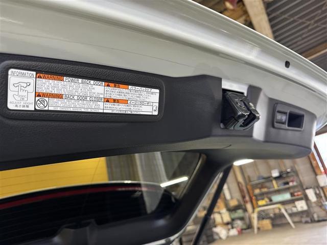 �啪�g���y�b�g�y�q�{���勴�X�ł��B���Ђ̍݌ɂ��������������L��������܂��B