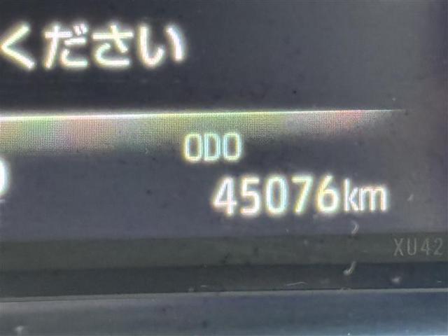 �啪�g���y�b�g�y�q�{���勴�X�ł��B���Ђ̍݌ɂ��������������L��������܂��B