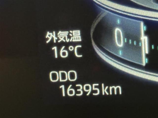 �啪�g���y�b�g�y�q�{���勴�X�ł��B���Ђ̍݌ɂ��������������L��������܂��B