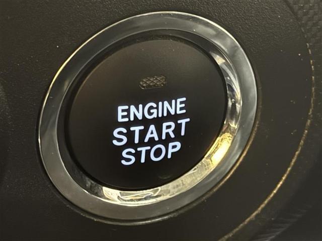 �啪�g���y�b�g�y�q�{���勴�X�ł��B���Ђ̍݌ɂ��������������L��������܂��B