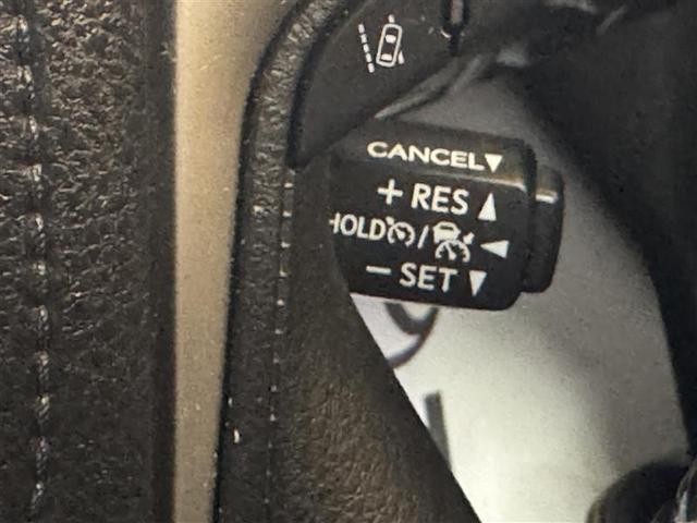 �啪�g���y�b�g�y�q�{���勴�X�ł��B���Ђ̍݌ɂ��������������L��������܂��B