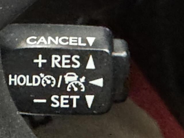 �啪�g���y�b�g�y�q�{���勴�X�ł��B���Ђ̍݌ɂ��������������L��������܂��B