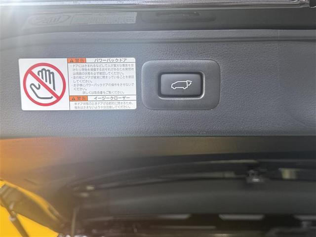 アルファード 2.5S タイプゴールド フルセグ メモリーナビ DVD再生 ミュージックプレイヤー接続可 後席モニター バックカメラ 衝突被害軽減システム ETC ドラレコ 両側電動スライド LEDヘッドランプ 乗車定員7人 3列シート(10枚目)