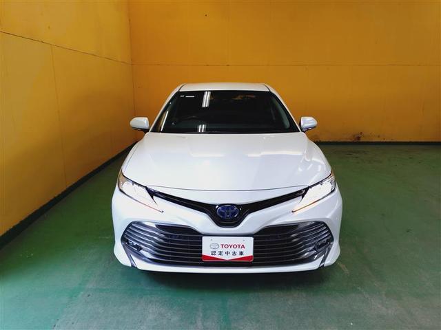 �啪�g���y�b�g�y�q�{���勴�X�ł��B���Ђ̍݌ɂ��������������L��������܂��B