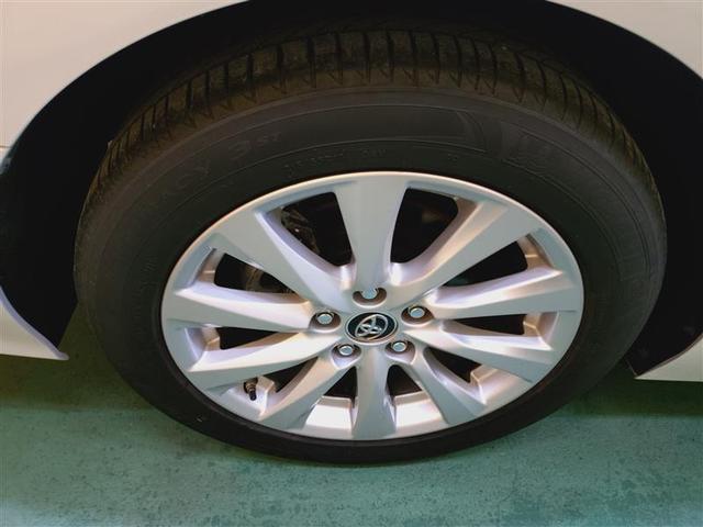 �啪�g���y�b�g�y�q�{���勴�X�ł��B���Ђ̍݌ɂ��������������L��������܂��B