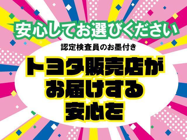 ムーヴキャンバス ストライプスＸ　衝突被害軽減システム　両側電動スライド　ワンオーナー　記録簿　アイドリングストップ（6枚目）