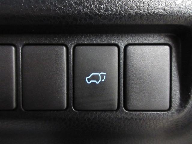 パワーバックドア