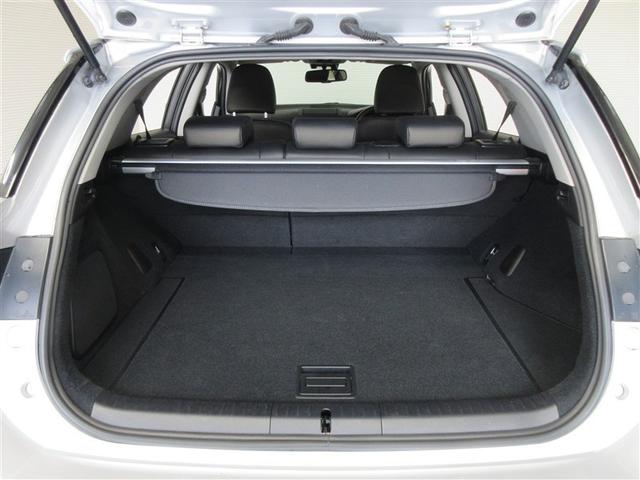 �g�����N�͂�Ƃ肪����܂��B����̂��������̂ɂ��\���ȗe�ʁB