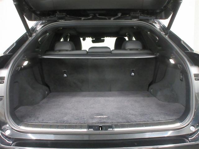 �g�����N�͂�Ƃ肪����܂��B����̂��������̂ɂ��\���ȗe�ʁB