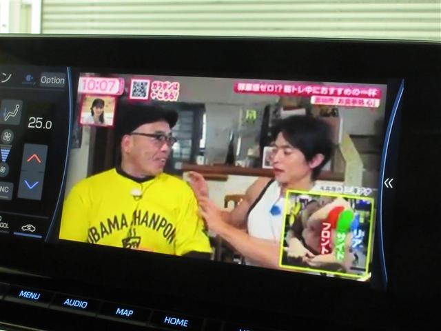 �n�f�W�`���[�i�[�����B