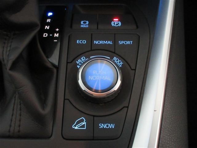 RAV4 G Zパッケージ 4WD メモリーナビ バックカメラ 衝突被害軽減システム ETC ドラレコ LEDヘッドランプ ワンオーナー 記録簿(27枚目)