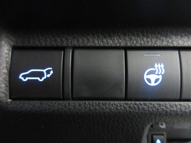 ＲＡＶ４ Ｇ　Ｚパッケージ　４ＷＤ　メモリーナビ　バックカメラ　衝突被害軽減システム　ＥＴＣ　ＬＥＤヘッドランプ　ワンオーナー　記録簿（23枚目）