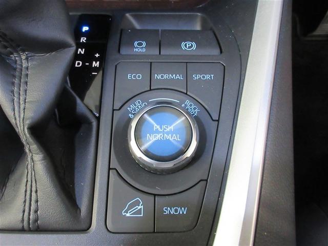 ＲＡＶ４ Ｇ　Ｚパッケージ　４ＷＤ　メモリーナビ　バックカメラ　衝突被害軽減システム　ＥＴＣ　ＬＥＤヘッドランプ　ワンオーナー　記録簿（28枚目）
