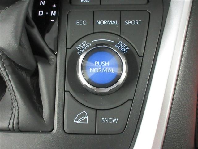 RAV4 アドベンチャー サンルーフ 4WD メモリーナビ バックカメラ 衝突被害軽減システム ETC LEDヘッドランプ ワンオーナー 記録簿(16枚目)