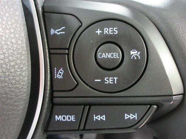 RAV4 アドベンチャー サンルーフ 4WD メモリーナビ バックカメラ 衝突被害軽減システム ETC LEDヘッドランプ ワンオーナー 記録簿(29枚目)