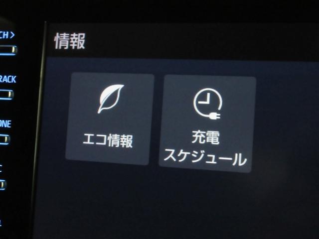 RAV4 PHV ブラックトーン 革シート 4WD バックカメラ 衝突被害軽減システム ETC LEDヘッドランプ ワンオーナー 記録簿(16枚目)