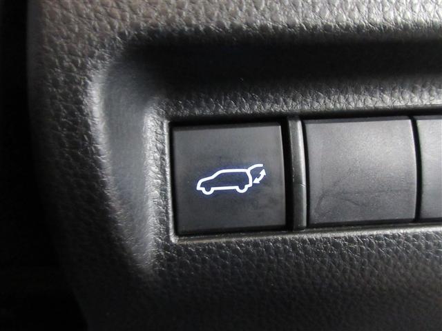 �p���[�o�b�N�h�A