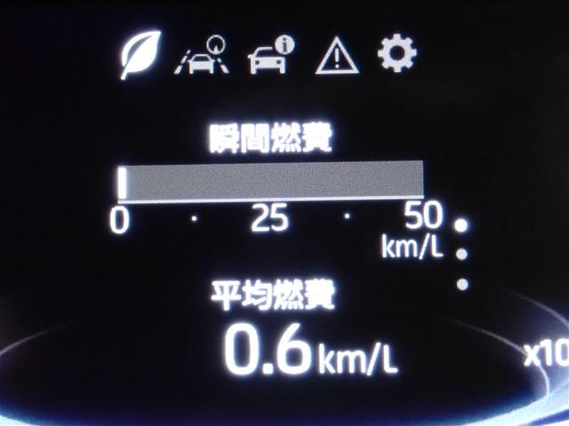 ライズ Ｚ　フルセグ　バックカメラ　衝突被害軽減システム　ＬＥＤヘッドランプ　記録簿　アイドリングストップ（18枚目）