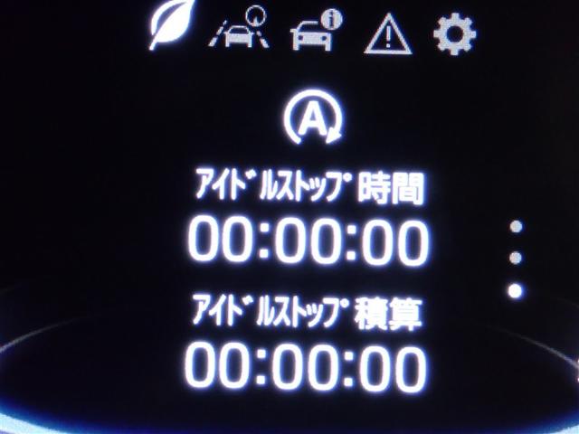 ライズ Ｚ　フルセグ　バックカメラ　衝突被害軽減システム　ＬＥＤヘッドランプ　記録簿　アイドリングストップ（20枚目）