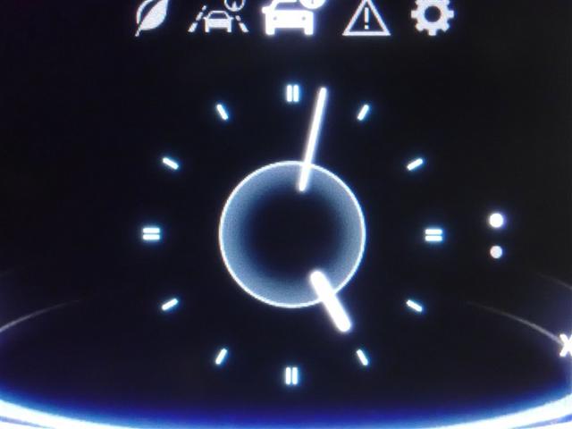 ライズ Ｚ　フルセグ　バックカメラ　衝突被害軽減システム　ＬＥＤヘッドランプ　記録簿　アイドリングストップ（21枚目）