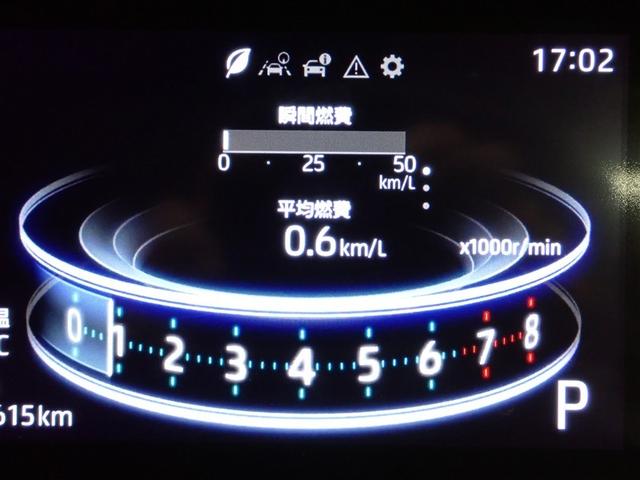 ライズ Ｚ　フルセグ　バックカメラ　衝突被害軽減システム　ＬＥＤヘッドランプ　記録簿　アイドリングストップ（22枚目）