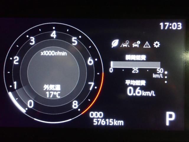 ライズ Ｚ　フルセグ　バックカメラ　衝突被害軽減システム　ＬＥＤヘッドランプ　記録簿　アイドリングストップ（24枚目）