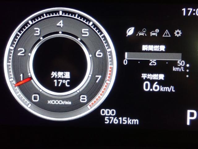 ライズ Ｚ　フルセグ　バックカメラ　衝突被害軽減システム　ＬＥＤヘッドランプ　記録簿　アイドリングストップ（25枚目）