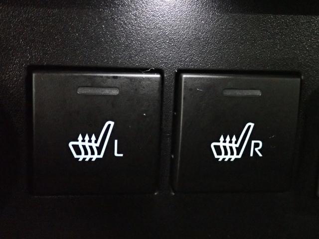 ライズ Ｚ　フルセグ　バックカメラ　衝突被害軽減システム　ＬＥＤヘッドランプ　記録簿　アイドリングストップ（35枚目）