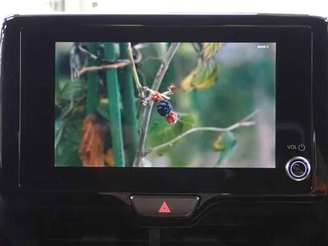 �t���Z�O�n�f�W�`���[�i�[����