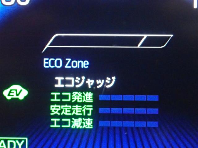 ���[�^�[���C���t�H���[�V����