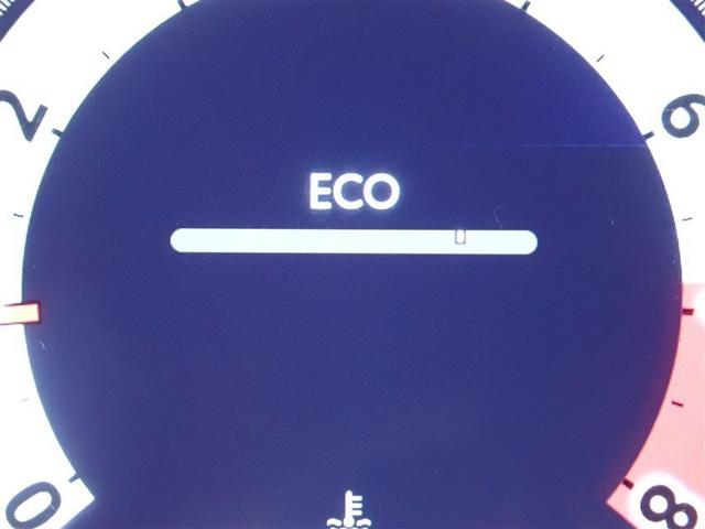 ���[�^�[���C���t�H���[�V����