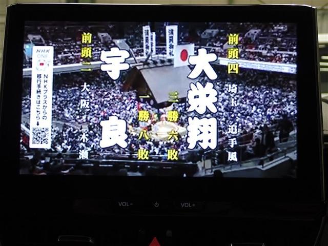 �t���Z�O�n�f�W�`���[�i�[����