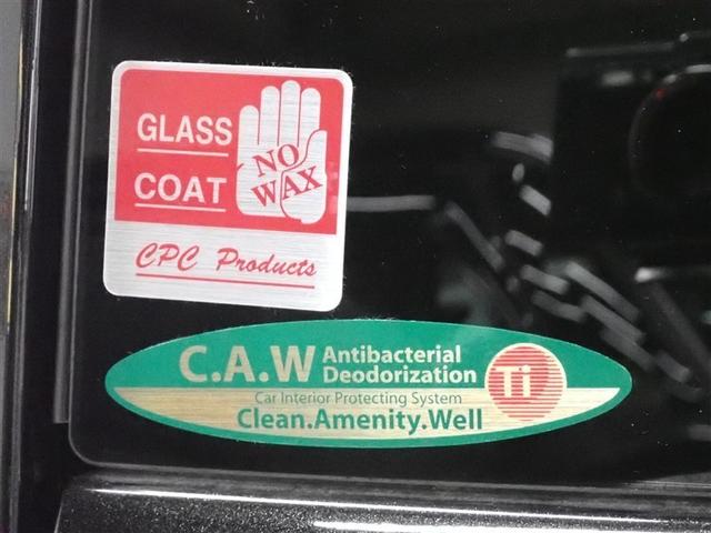 タフト Ｇ　ダーククロムベンチャー　サンルーフ　フルセグ　メモリーナビ　バックカメラ　衝突被害軽減システム　ＬＥＤヘッドランプ　アイドリングストップ（10枚目）