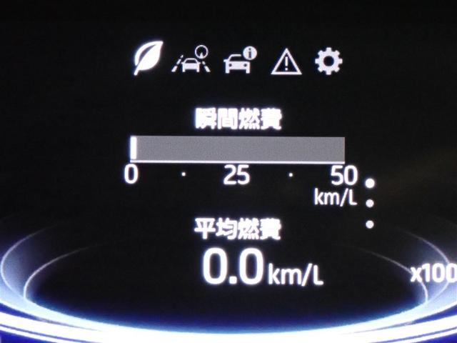 ライズ Ｚ　フルセグ　メモリーナビ　ＤＶＤ再生　バックカメラ　衝突被害軽減システム　ＥＴＣ　ＬＥＤヘッドランプ　記録簿　アイドリングストップ（20枚目）