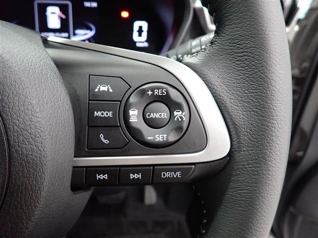 ライズ Ｚ　フルセグ　メモリーナビ　ＤＶＤ再生　バックカメラ　衝突被害軽減システム　ＥＴＣ　ＬＥＤヘッドランプ　記録簿　アイドリングストップ（29枚目）