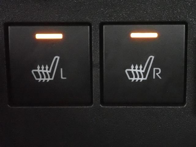 ライズ Ｚ　フルセグ　メモリーナビ　ＤＶＤ再生　バックカメラ　衝突被害軽減システム　ＥＴＣ　ＬＥＤヘッドランプ　記録簿　アイドリングストップ（30枚目）