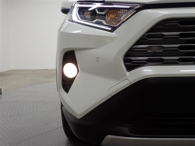 �t�H�O�����v�����čX�Ɉ��S