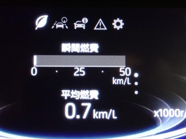 ライズ Z フルセグ バックカメラ 衝突被害軽減システム ETC ドラレコ LEDヘッドランプ フルエアロ 記録簿 アイドリングストップ(18枚目)