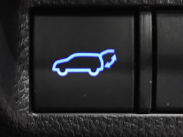 ＲＡＶ４ Ｇ　Ｚパッケージ　４ＷＤ　フルセグ　メモリーナビ　ＤＶＤ再生　バックカメラ　衝突被害軽減システム　ＥＴＣ　ドラレコ　ＬＥＤヘッドランプ　記録簿（30枚目）